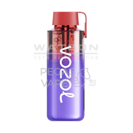 Электронная сигарета VOZOL NEON 10000 (ЧЕРНИКА СО ЛЬДОМ)