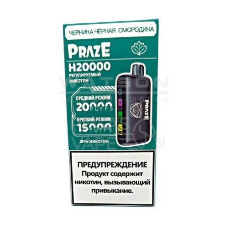 Электронная сигарета Praze H20000 (Черника черная смородина)