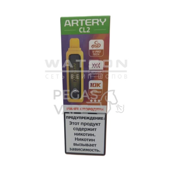 Электронная сигарета Artery CL2 10000 (FLAVOR+ICE edtion) (Манго черная смородина)